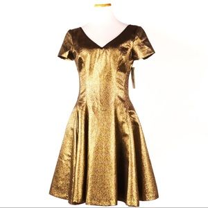 Built In Shaping NUE BY SHANI BLUE LABEL
Fit and Flare Metallic Dress